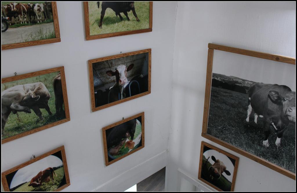 Hotel Artfarm Wiehl Bagian luar foto